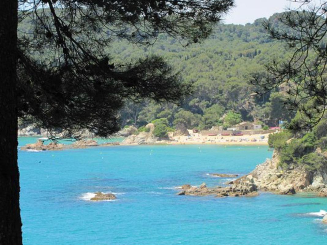 Sunny Apartment Sa Boadella Big Solarium Sea View Λορέτ Ντε Μαρ Εξωτερικό φωτογραφία